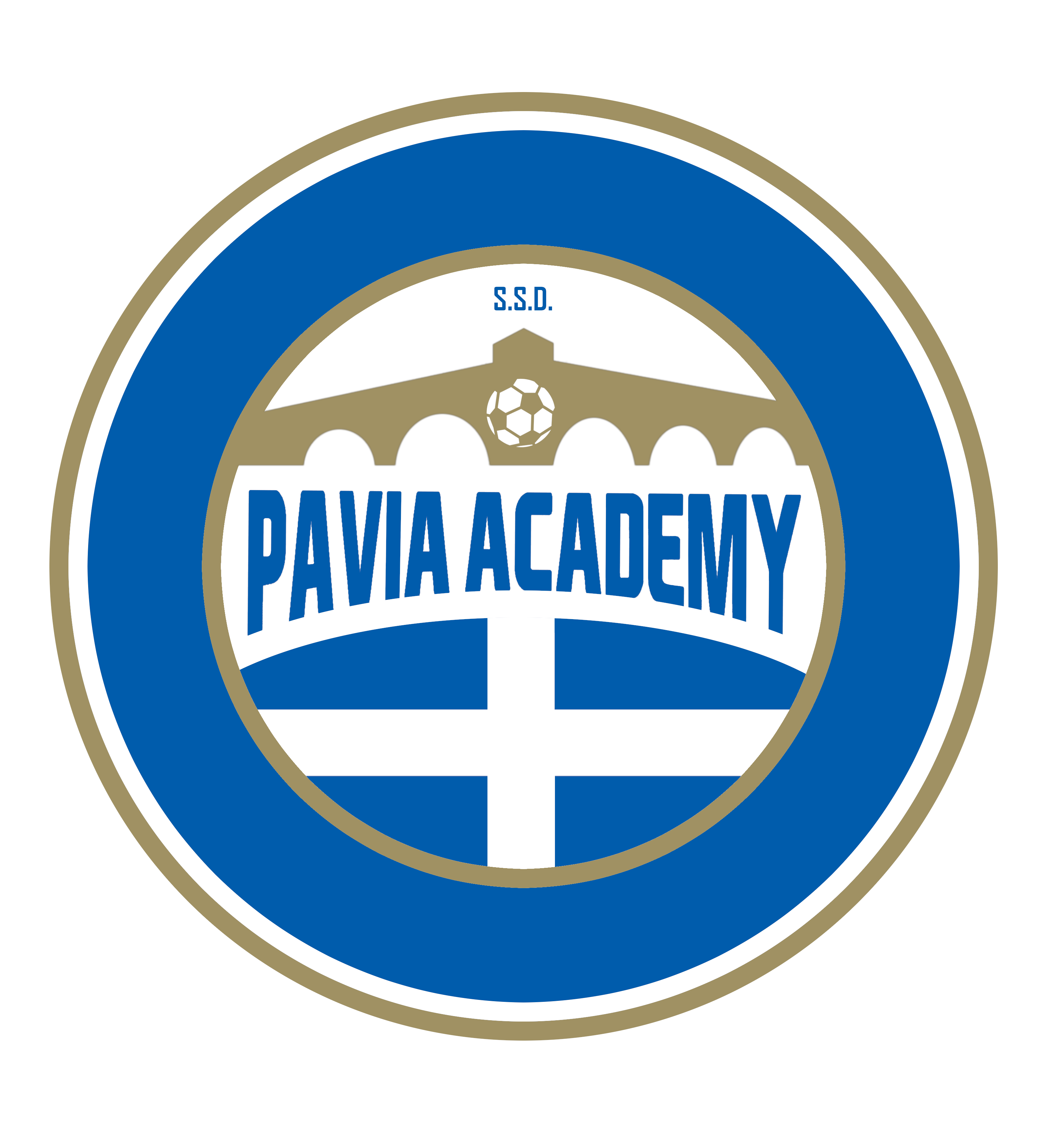 Pavia Academy